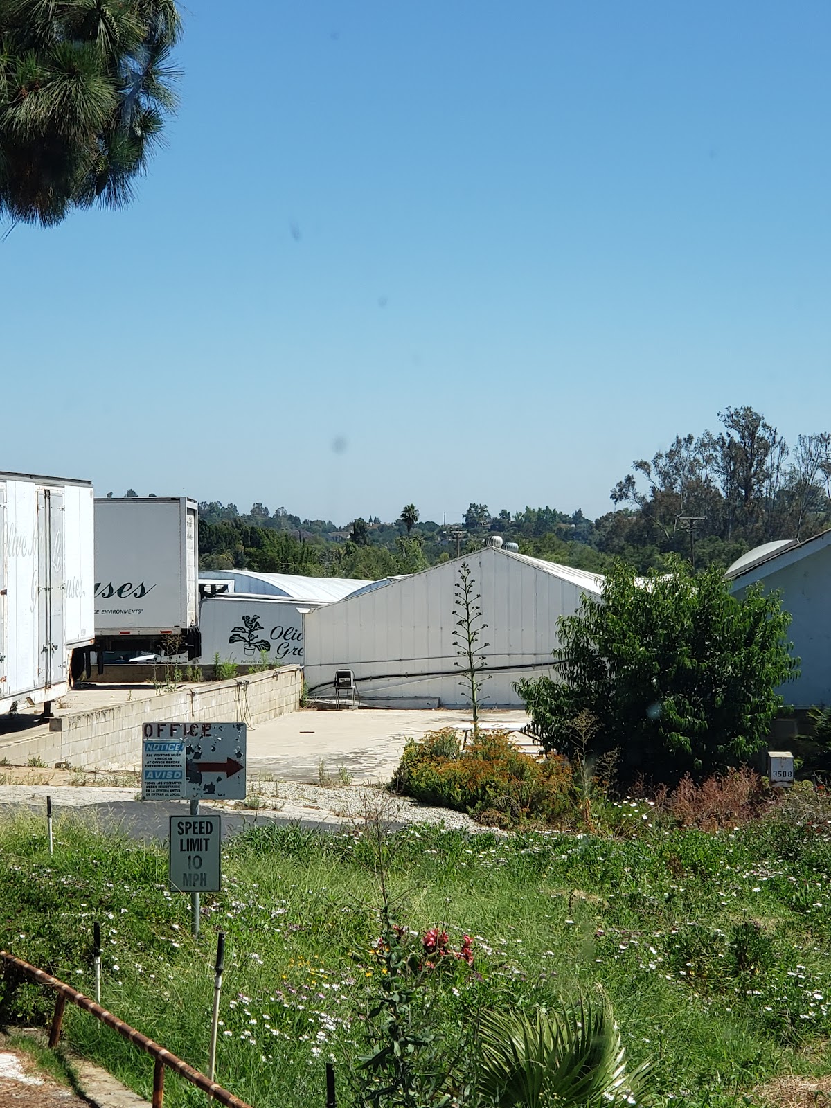 Olive Hill Greenhouses
