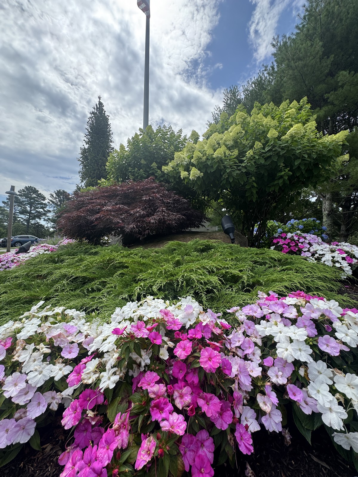 Olson's Greenhouses Inc