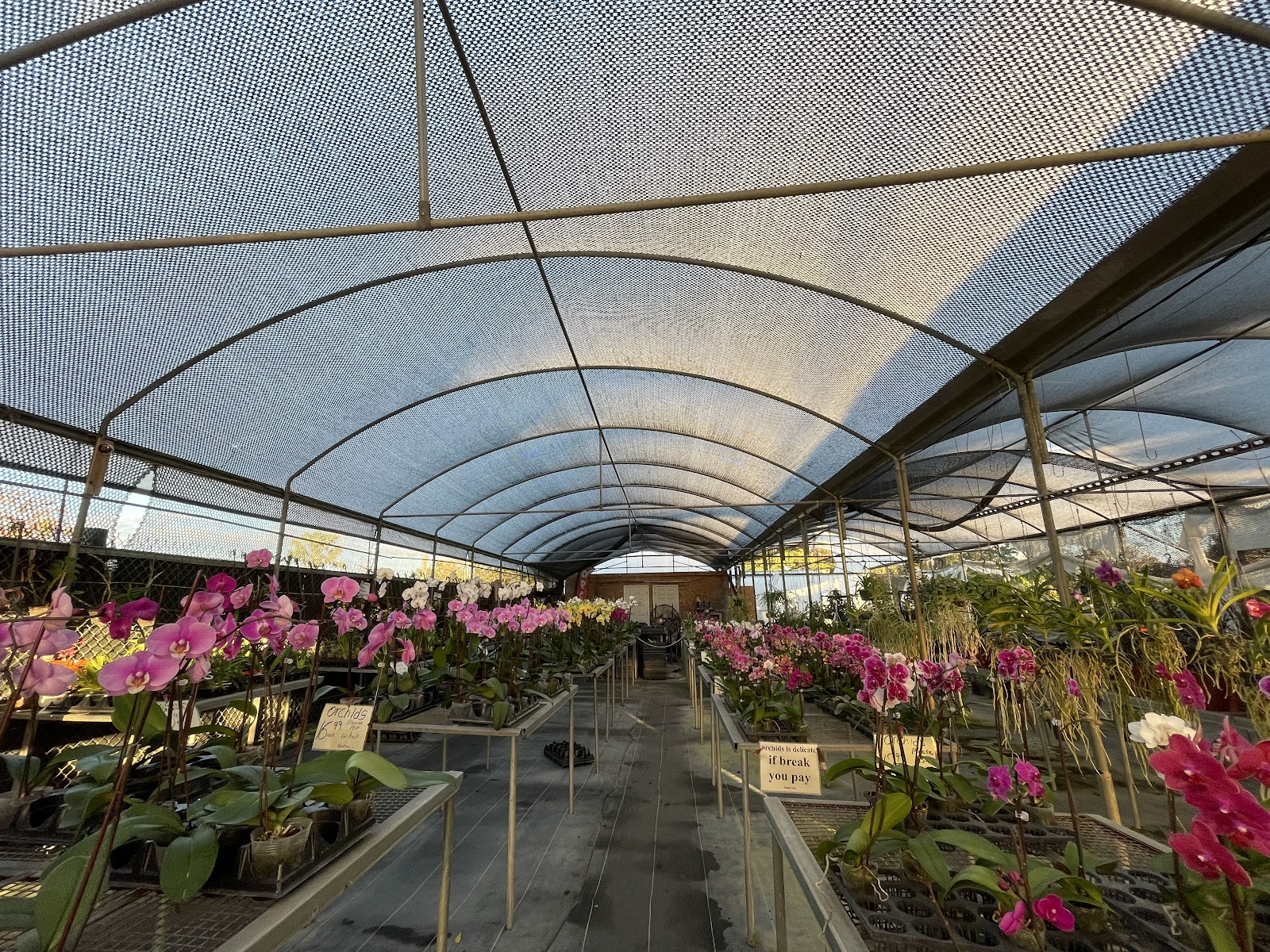 Orchids Garden Nursery