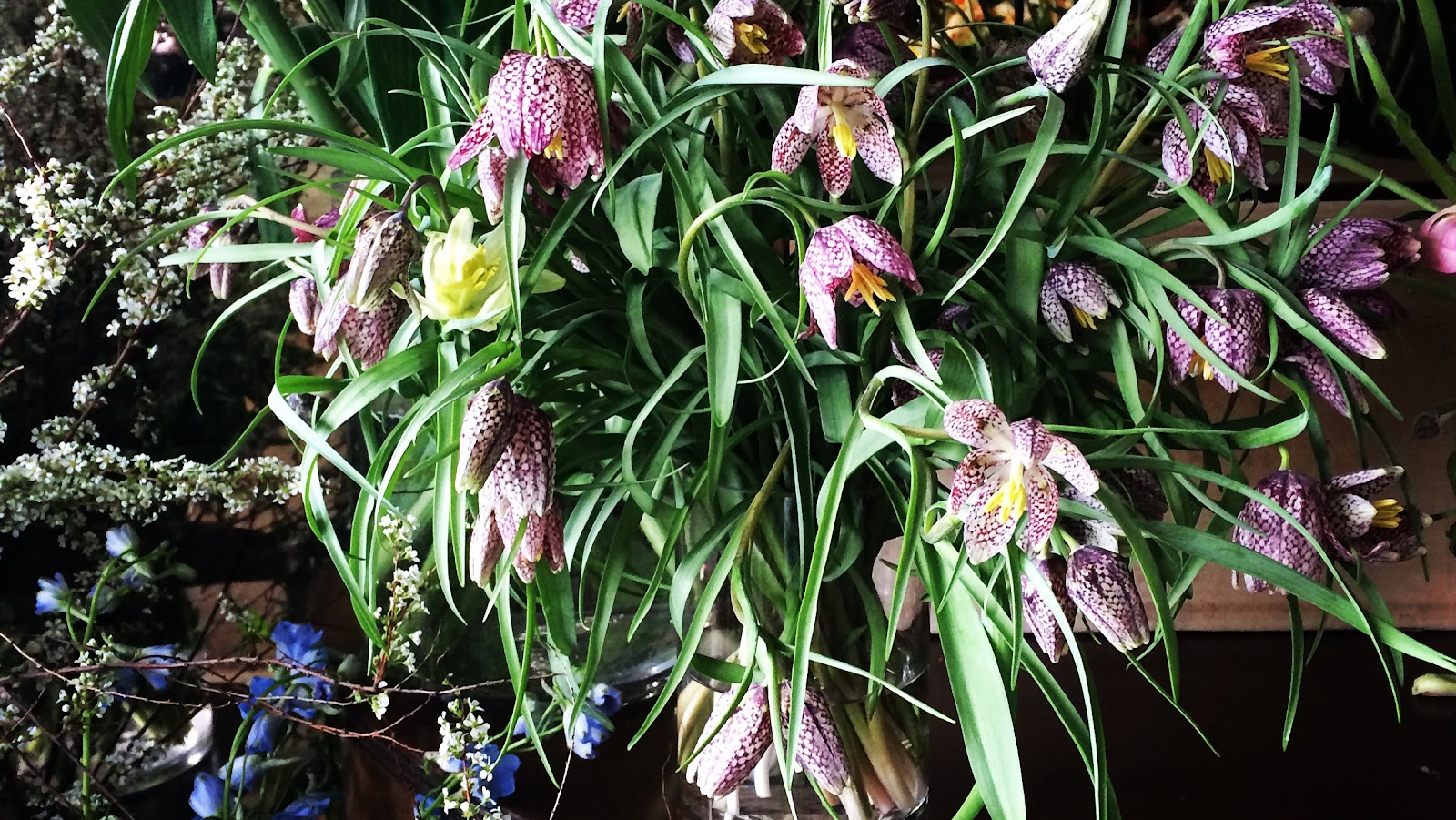 Ostara Gardens