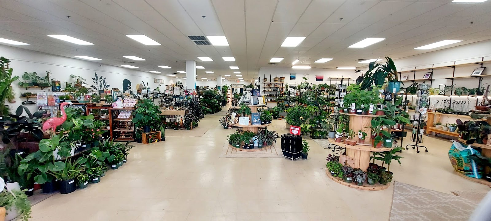 Paloma's Plants & Event Venue