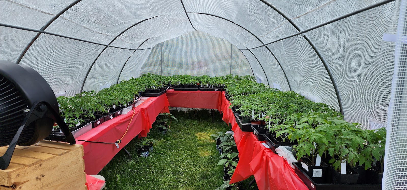 Parkrose Greenhouse