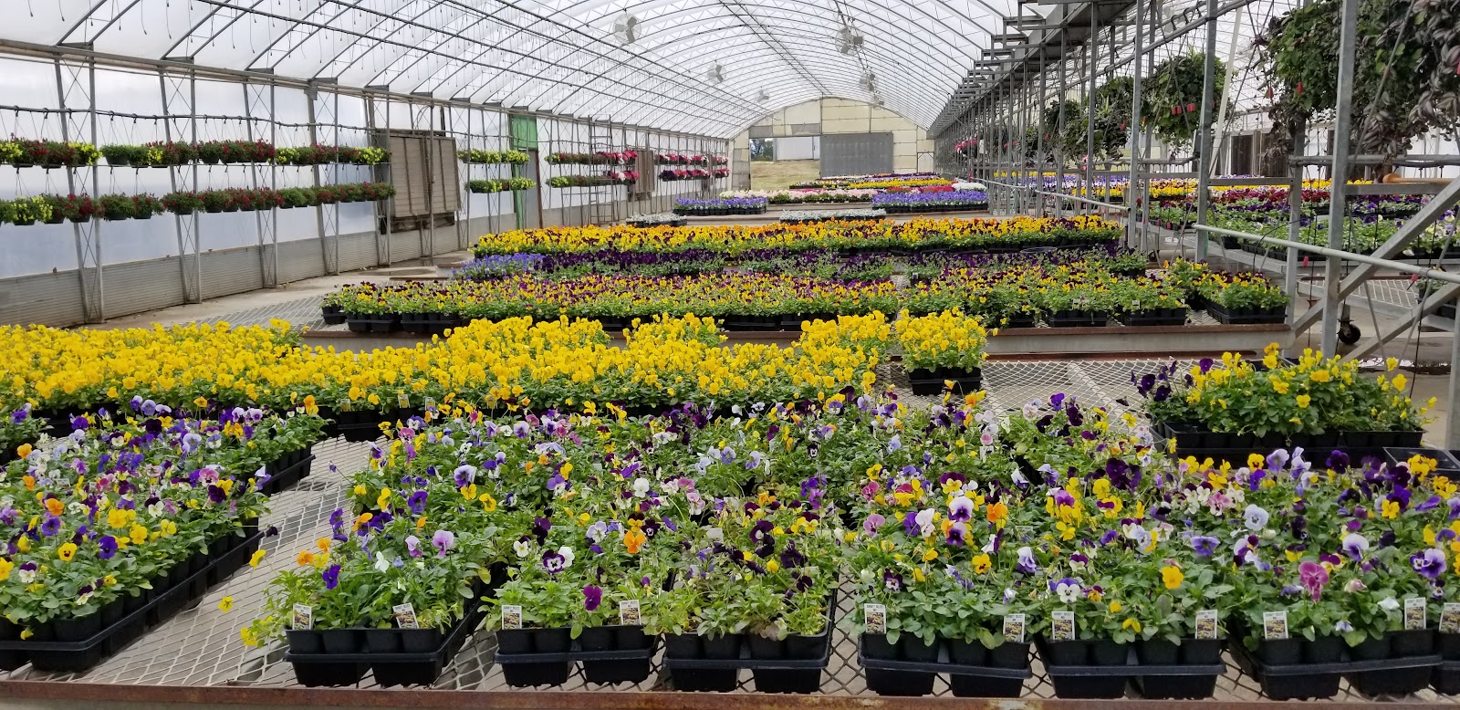 Parks Brothers Farm Inc.