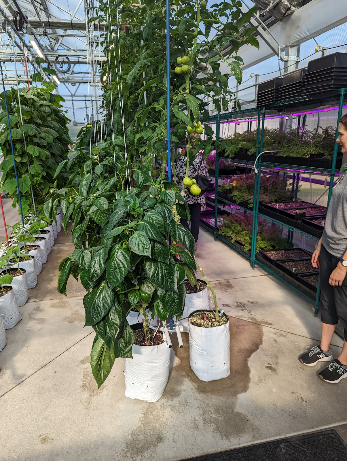 Parkview Community Greenhouse & Learning Kitchen