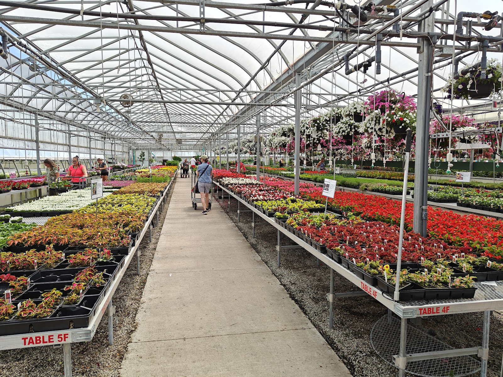Parran's Greenhouse - Ida