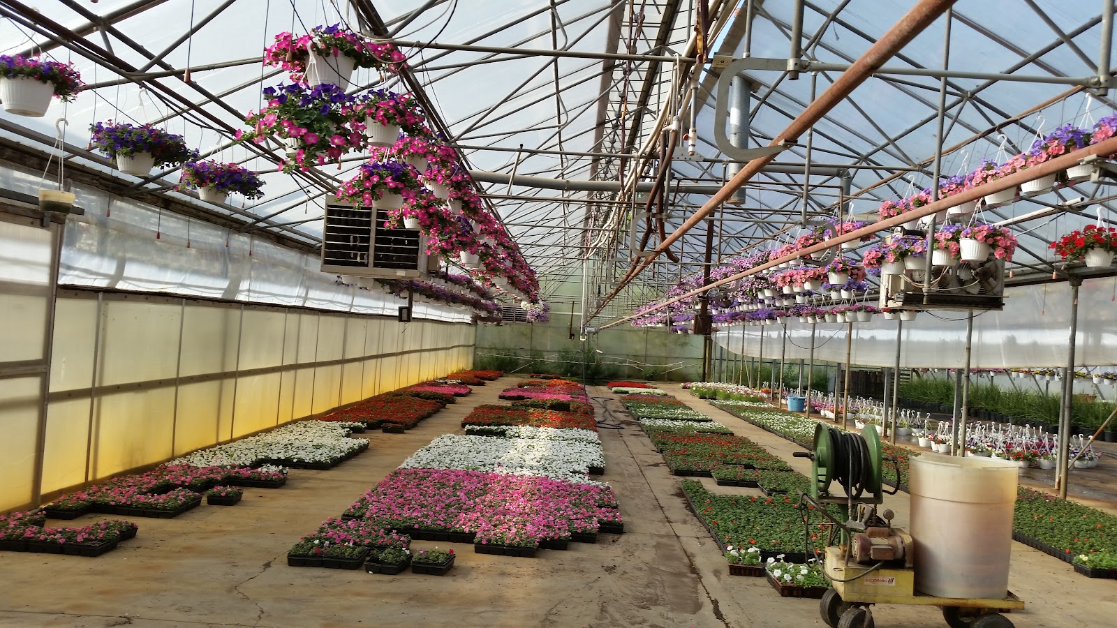 Paul's Greenhouse