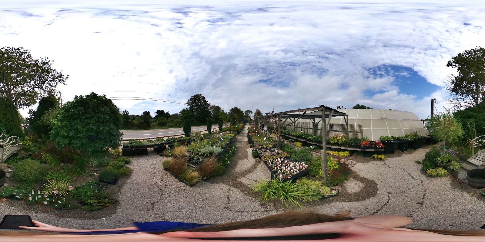 Peckham's Greenhouse