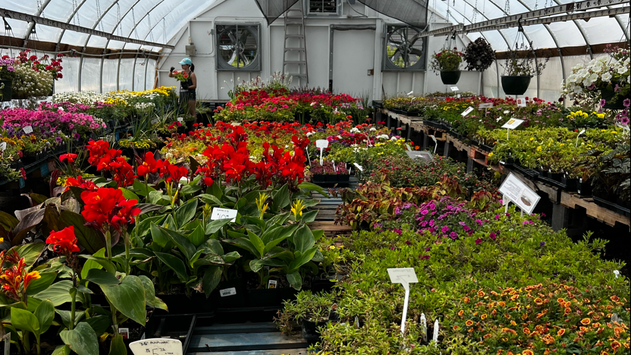 Peiffers Greenhouse
