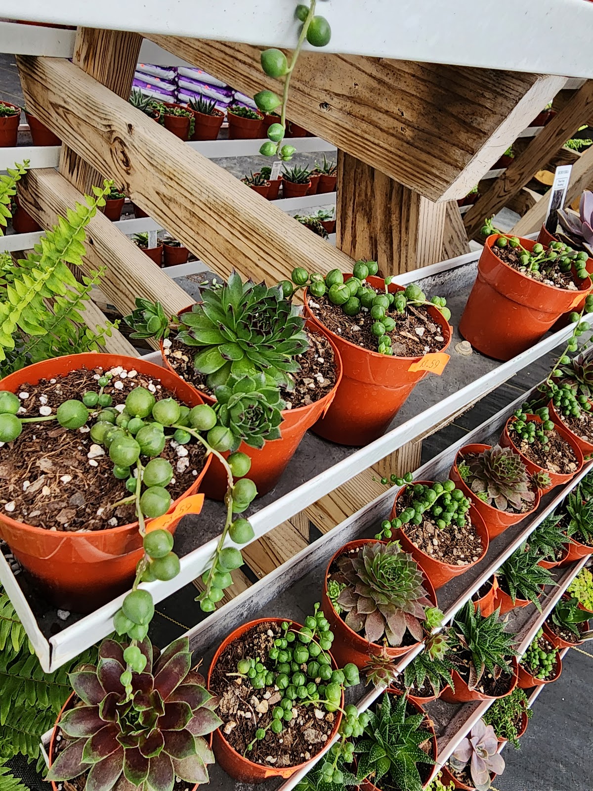 PennLand Greenhouse
