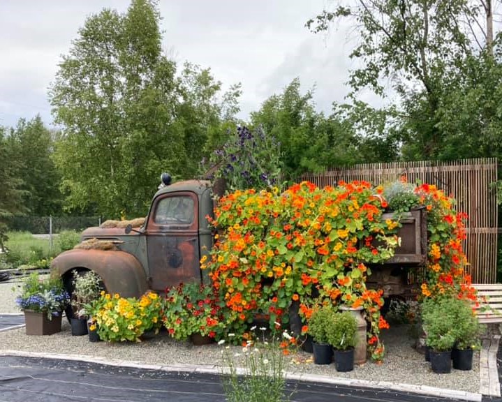 Perennial Gardens