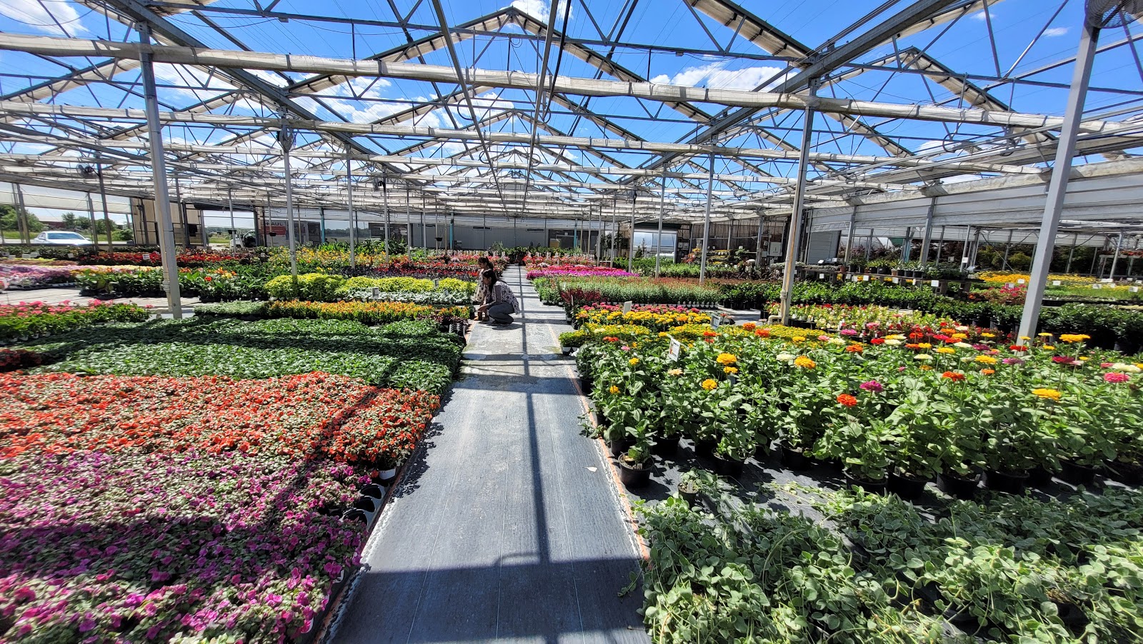 Perennials Plus