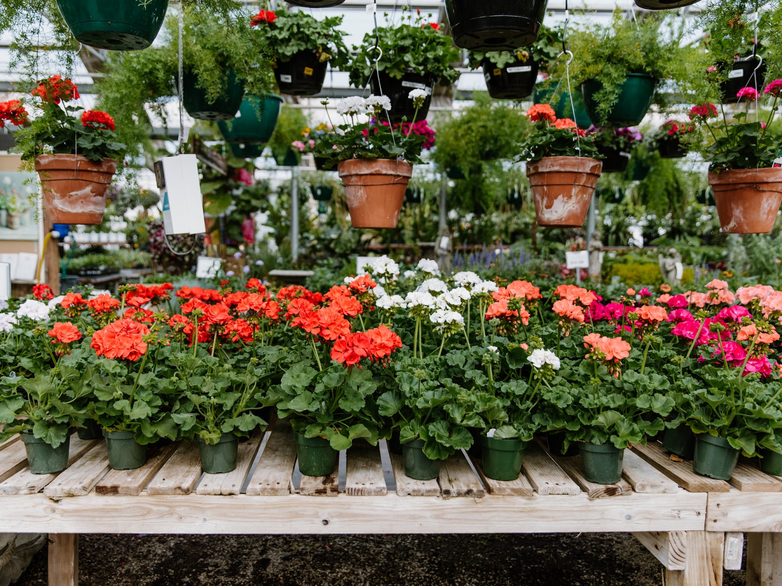 Pete's Greenhouse