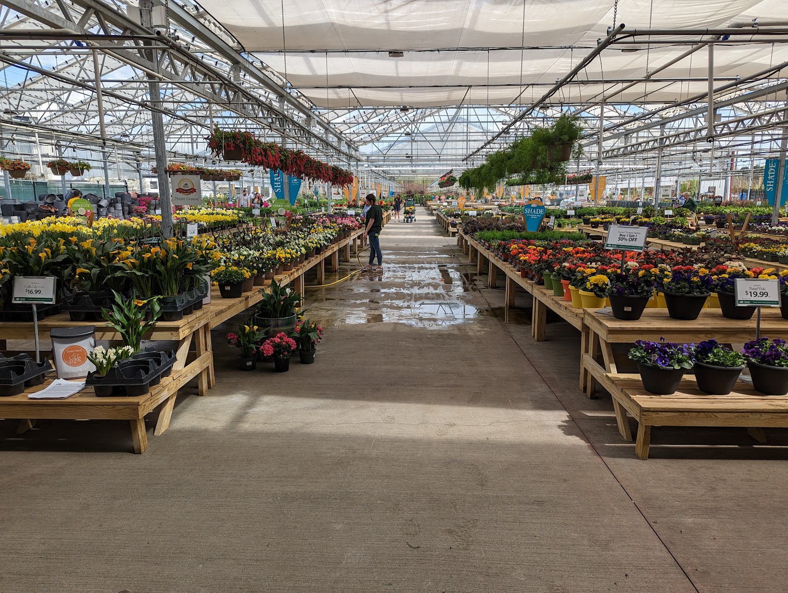 Petitti Garden Centers