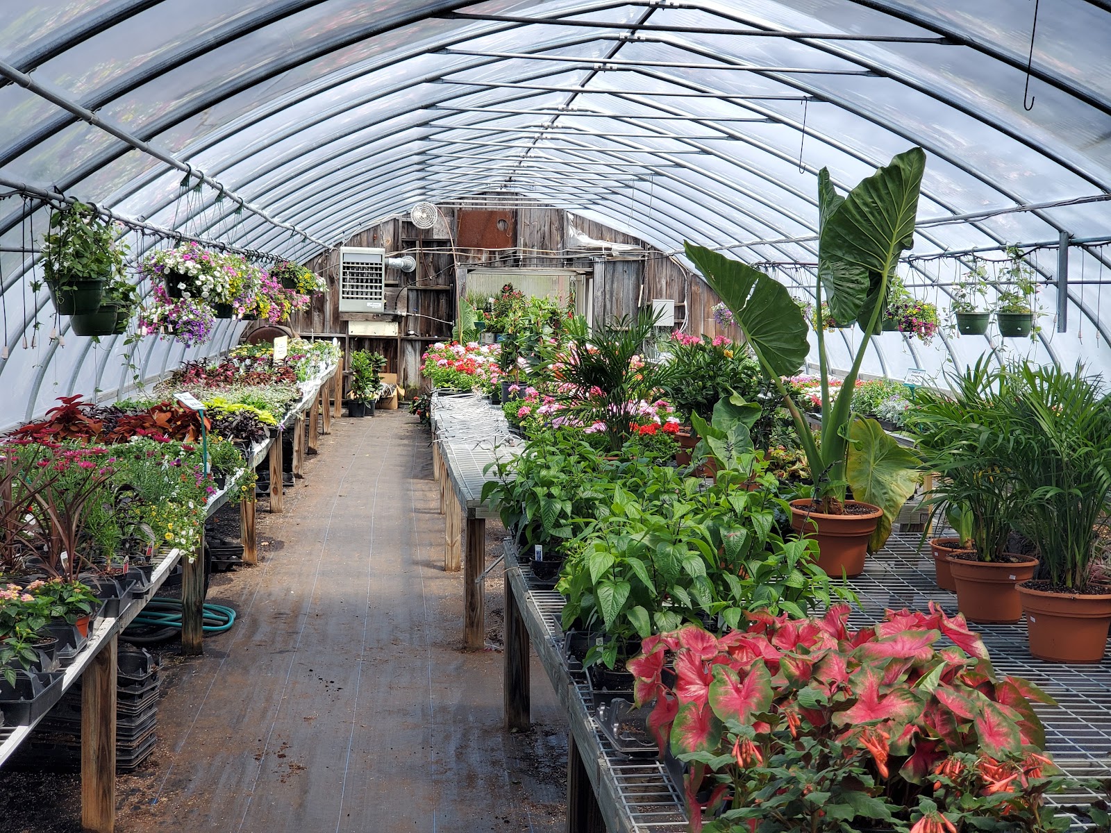 Pezza Farm & Garden Center East Greenwich