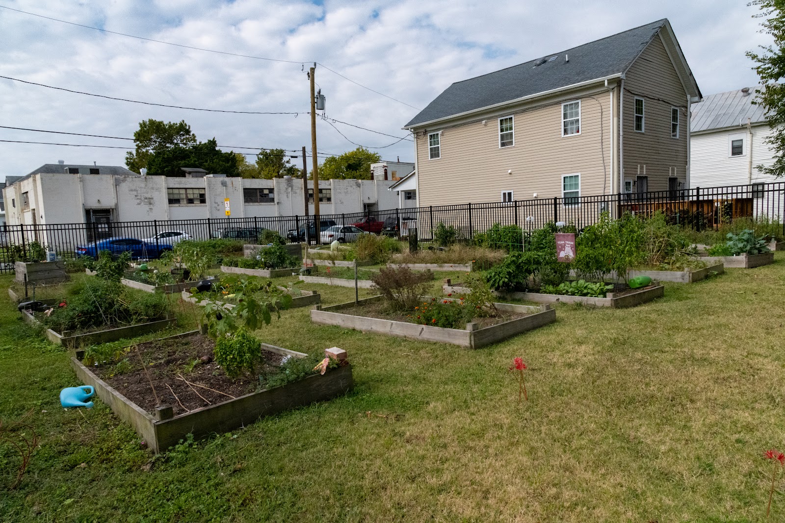 Phoebus Community Garden