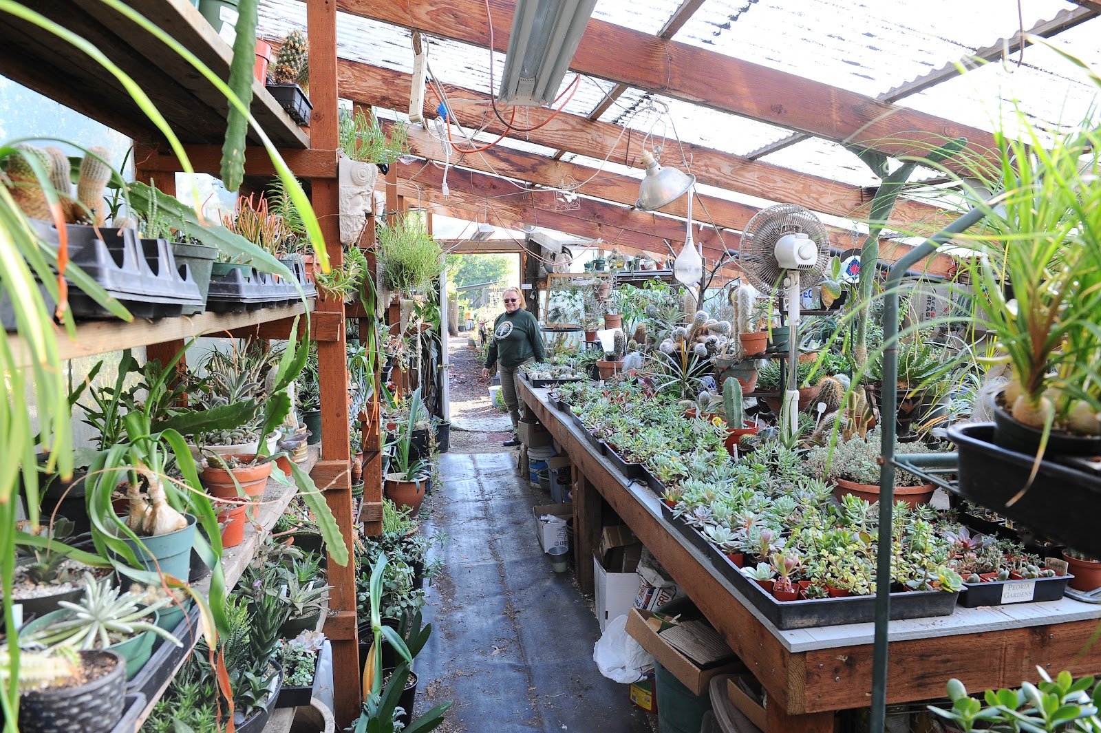 Pierce Street Gardens
