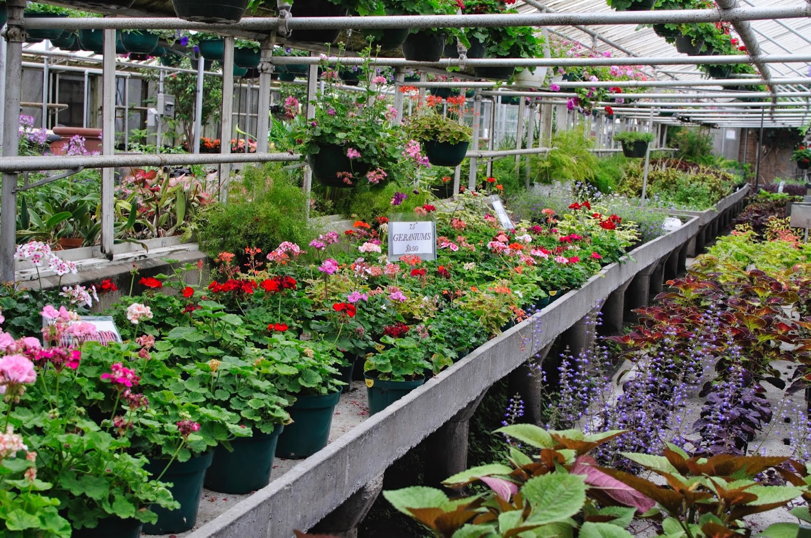 Pierson's Flower Shop & Greenhouses
