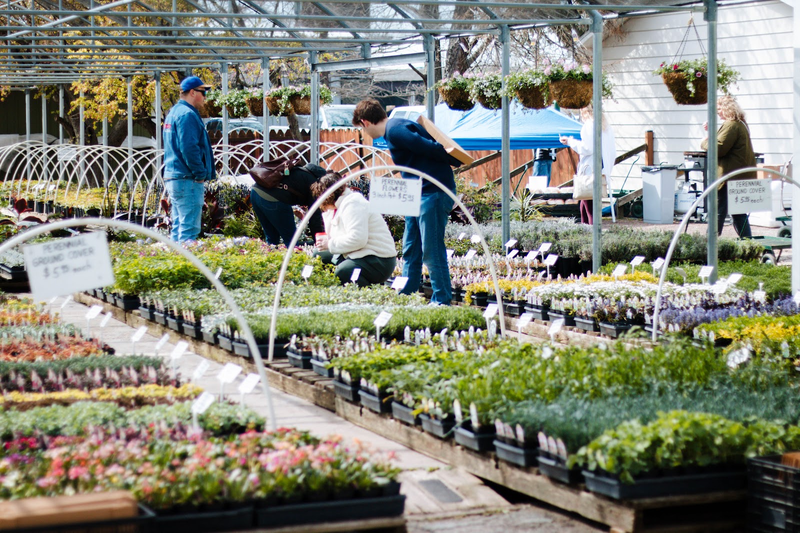 Pine's Garden & Market