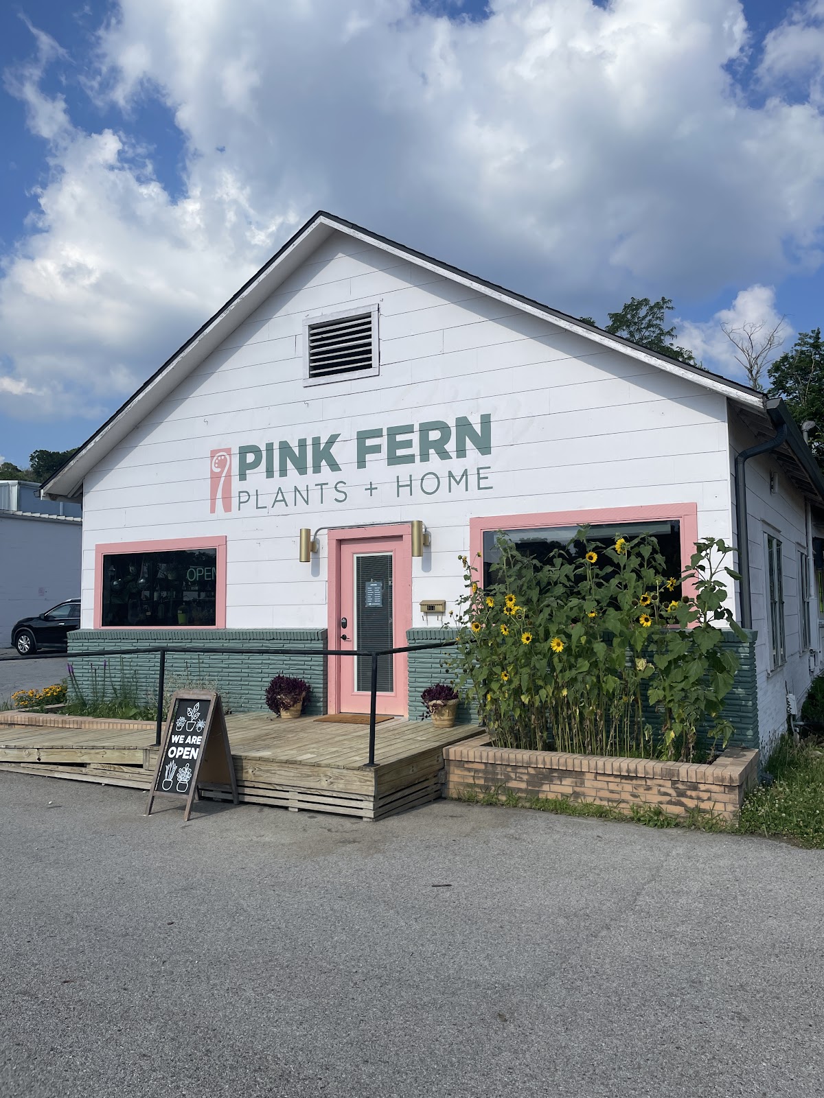 Pink Fern