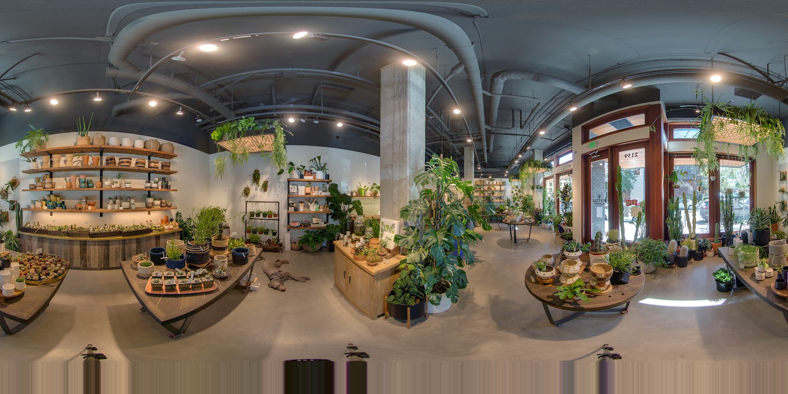 Pistils Nursery - Northwest