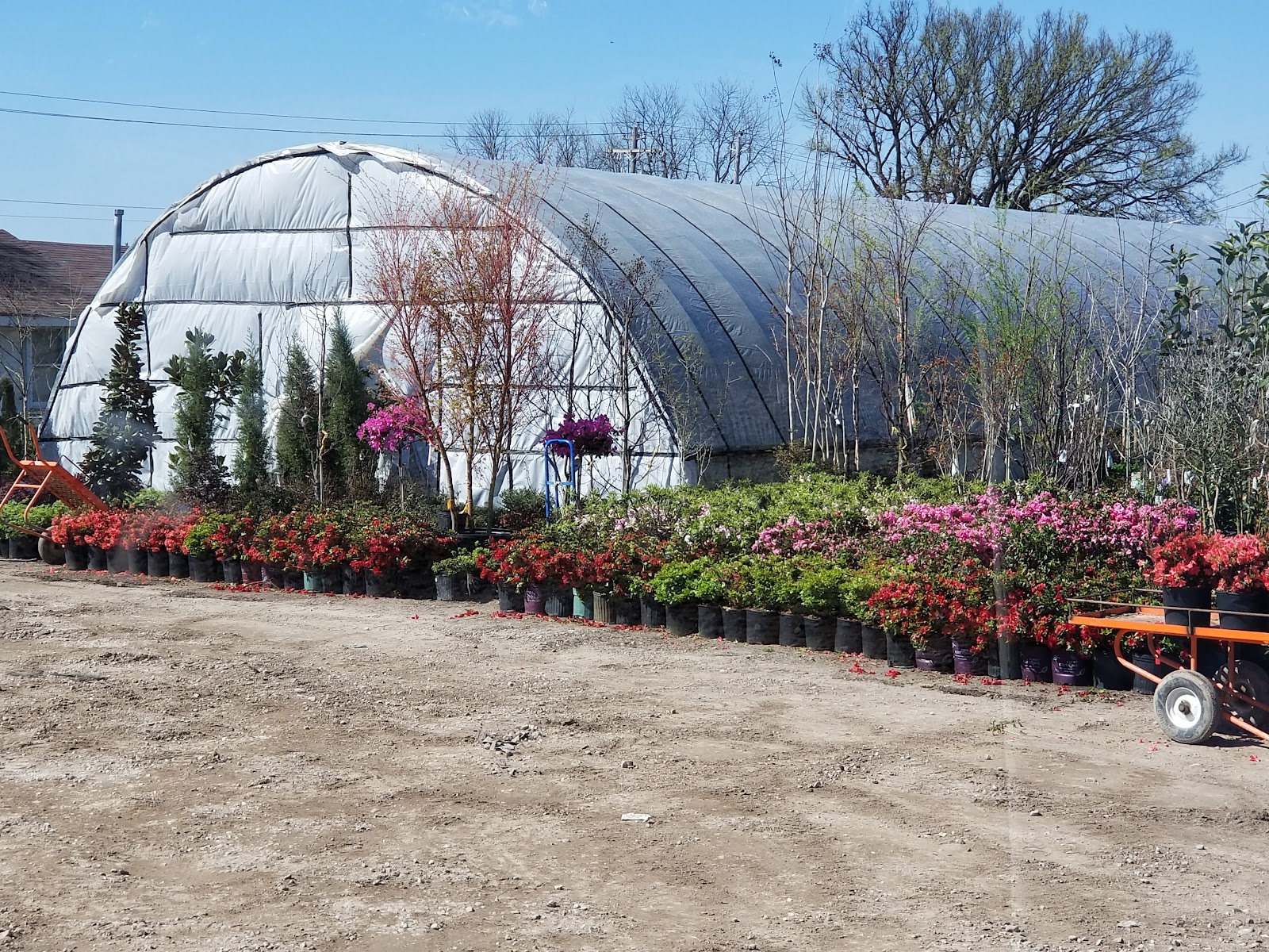Pittman Plants