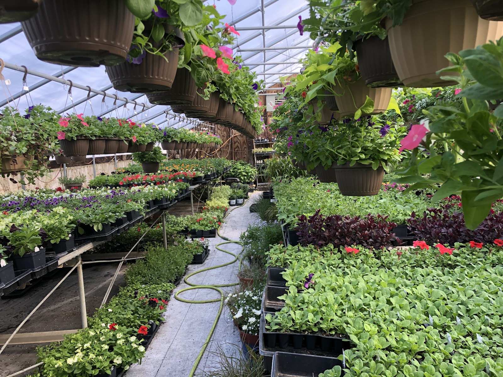PJ Tatum’s Garden Greenhouse