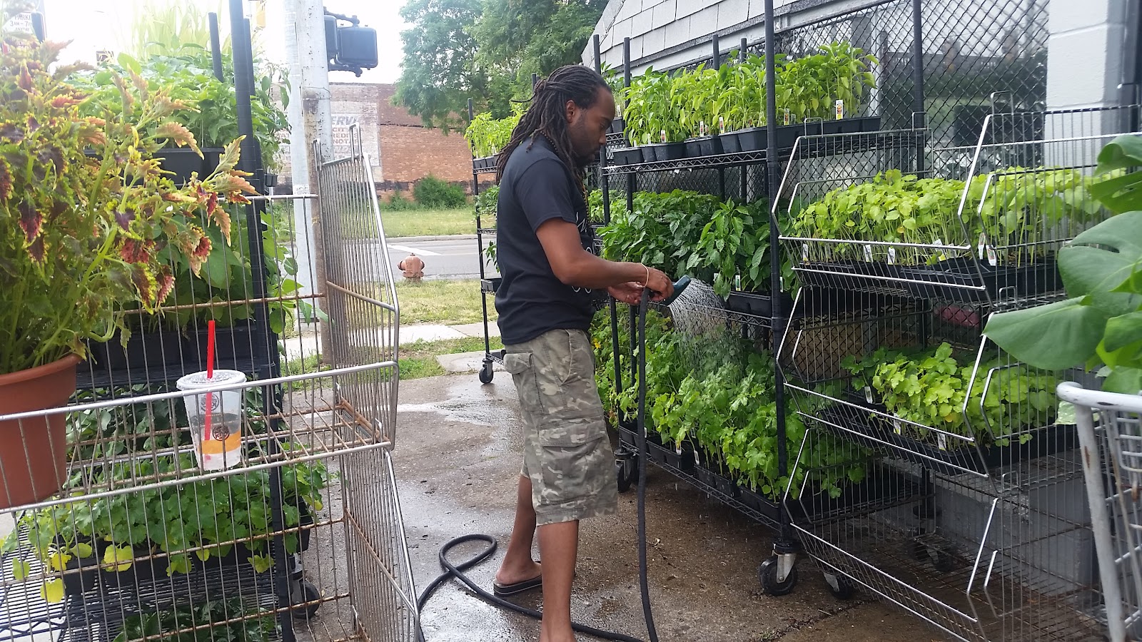 Planet Earth's Greenhouse