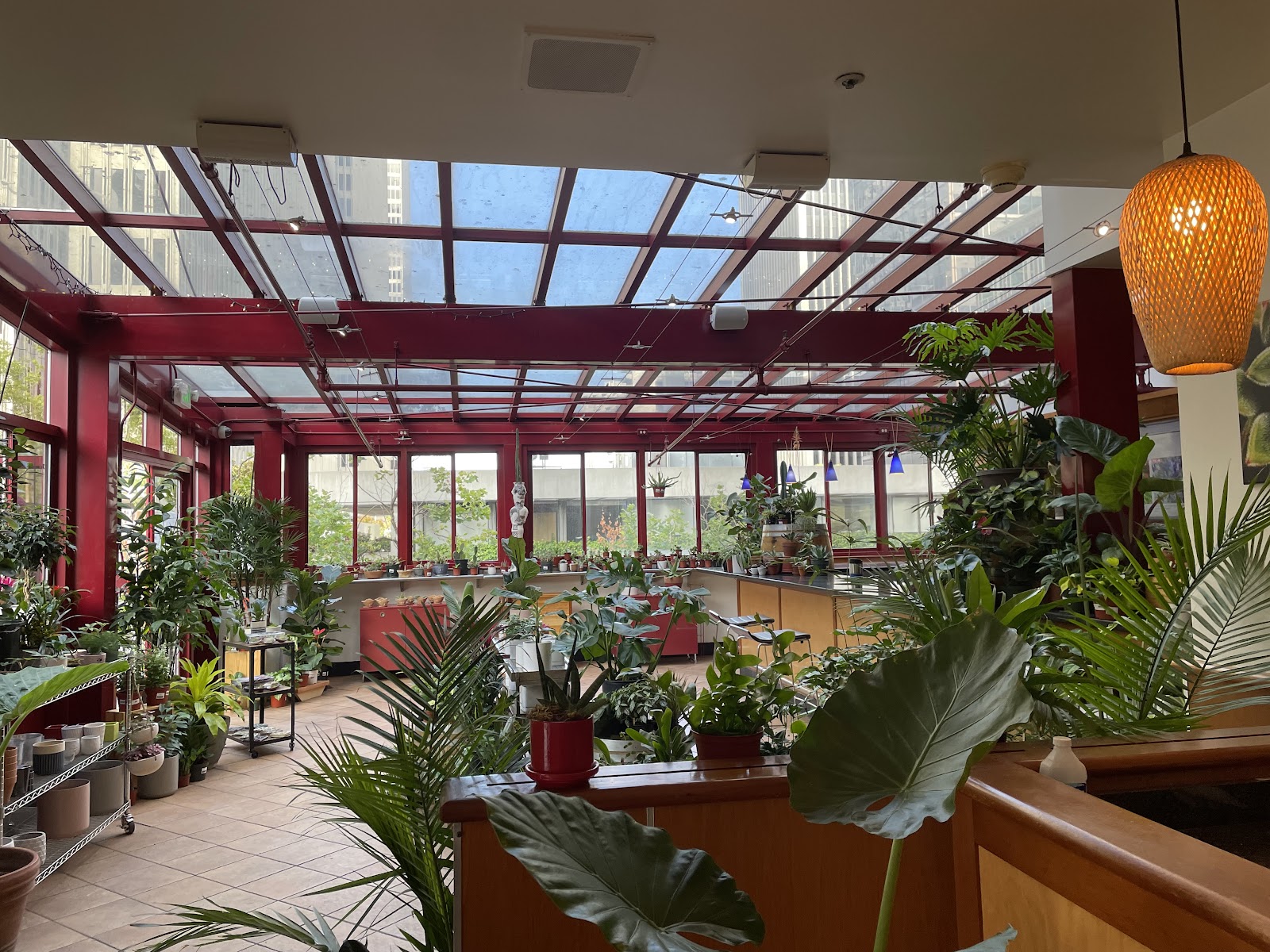Plant Connection SF