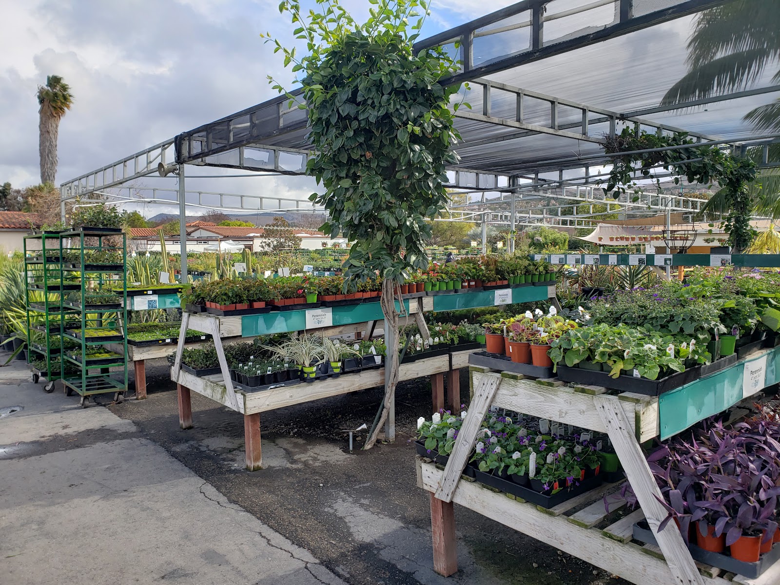 Plant Depot