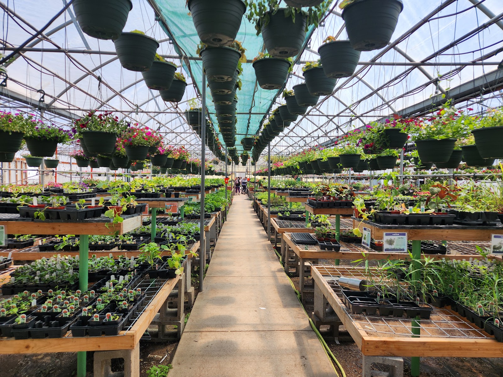 Plant & Grow Nursery