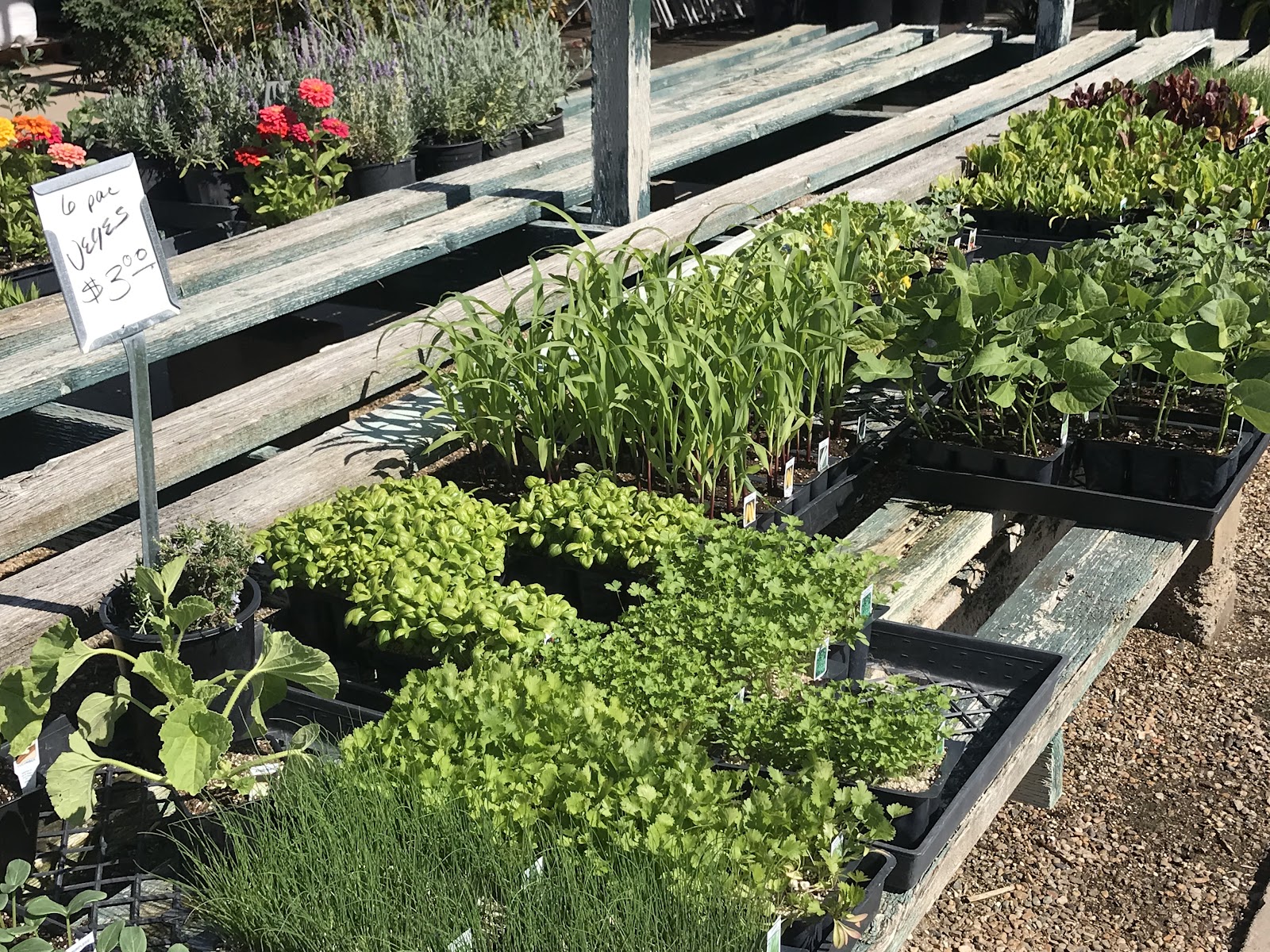 Plant House Nursery