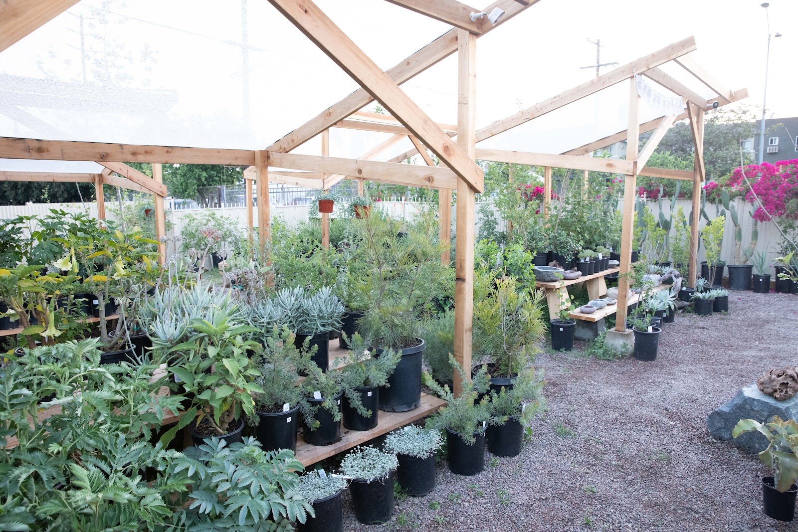 Plant Material - Glassell Park