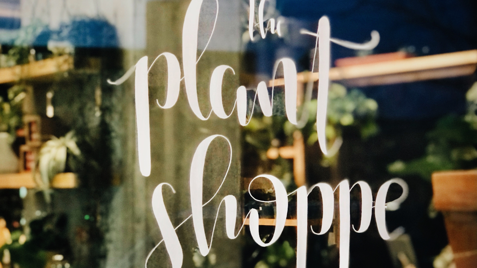 Plant Shoppe at Stitch Cafe – West Village, Downtown OKC