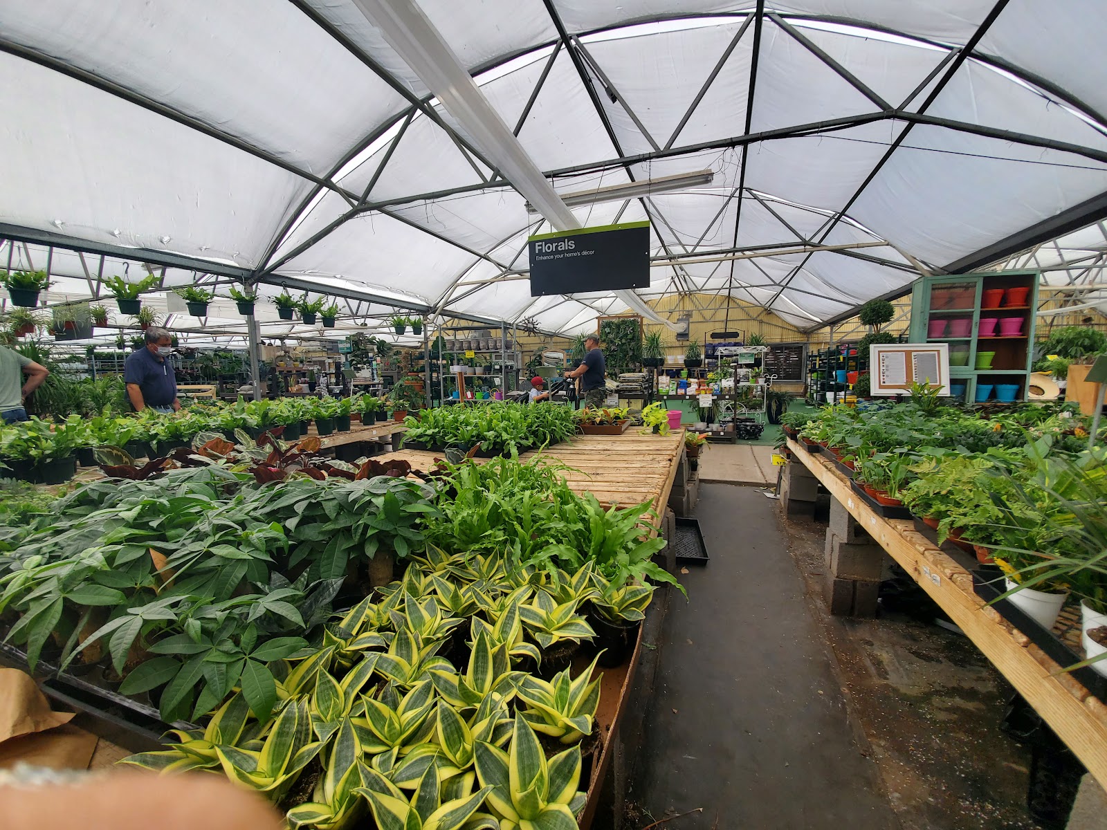 Plant Stand of Arizona