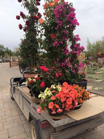 Plant World, Inc.