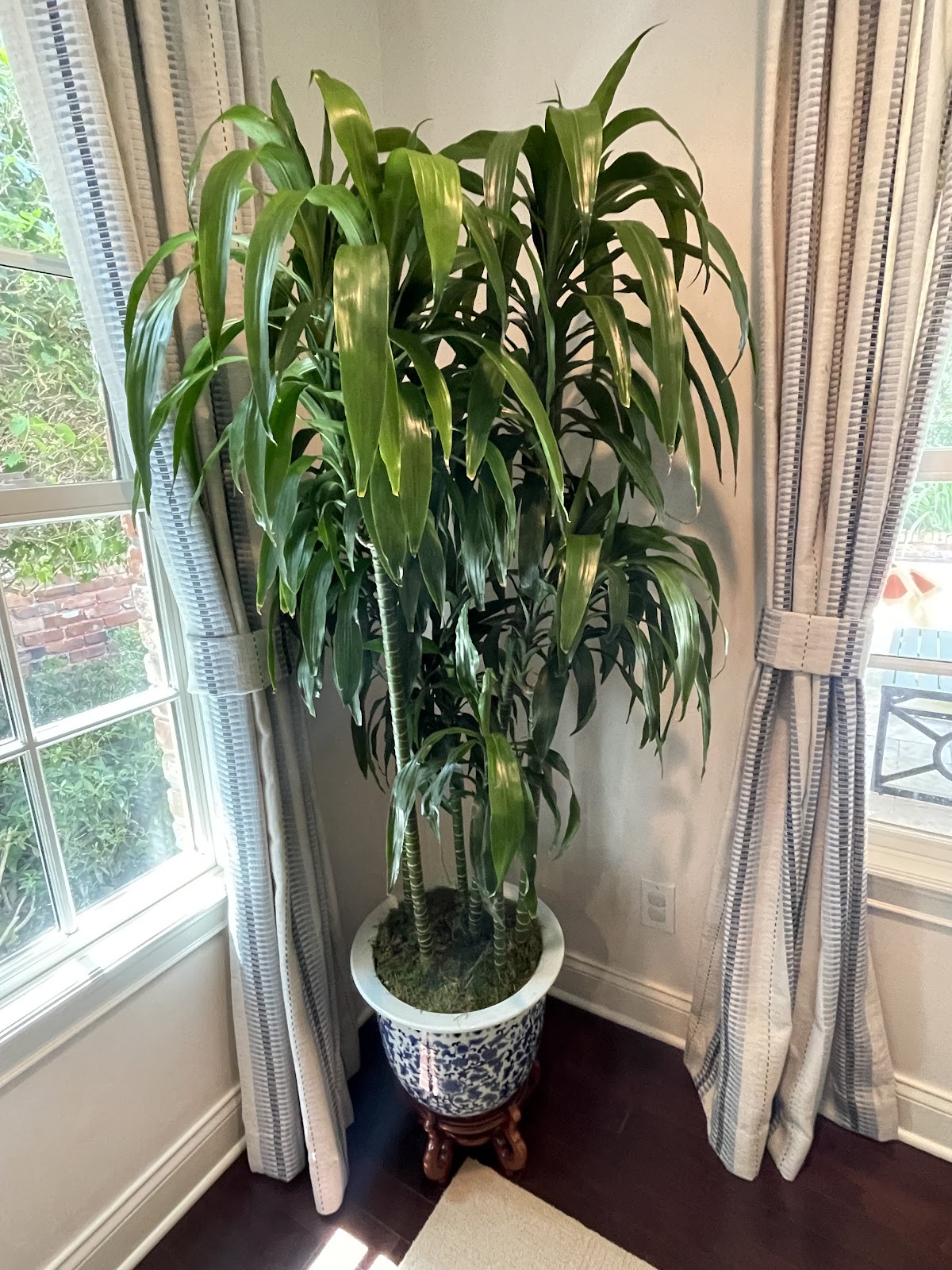 Plante La Vie Garden Shop