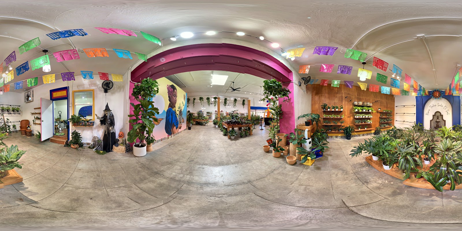 Plantiitas