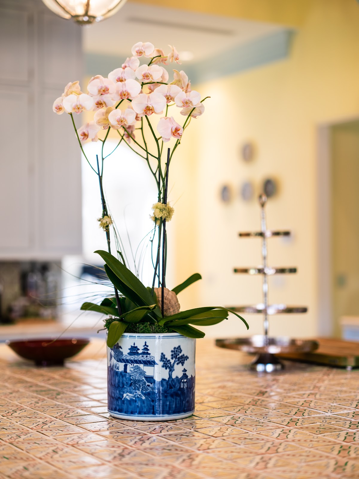 Plantique Florida - Interior Plant Design