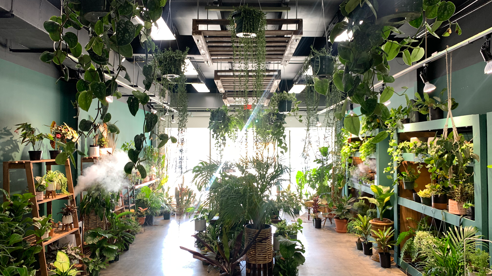 Plantoem