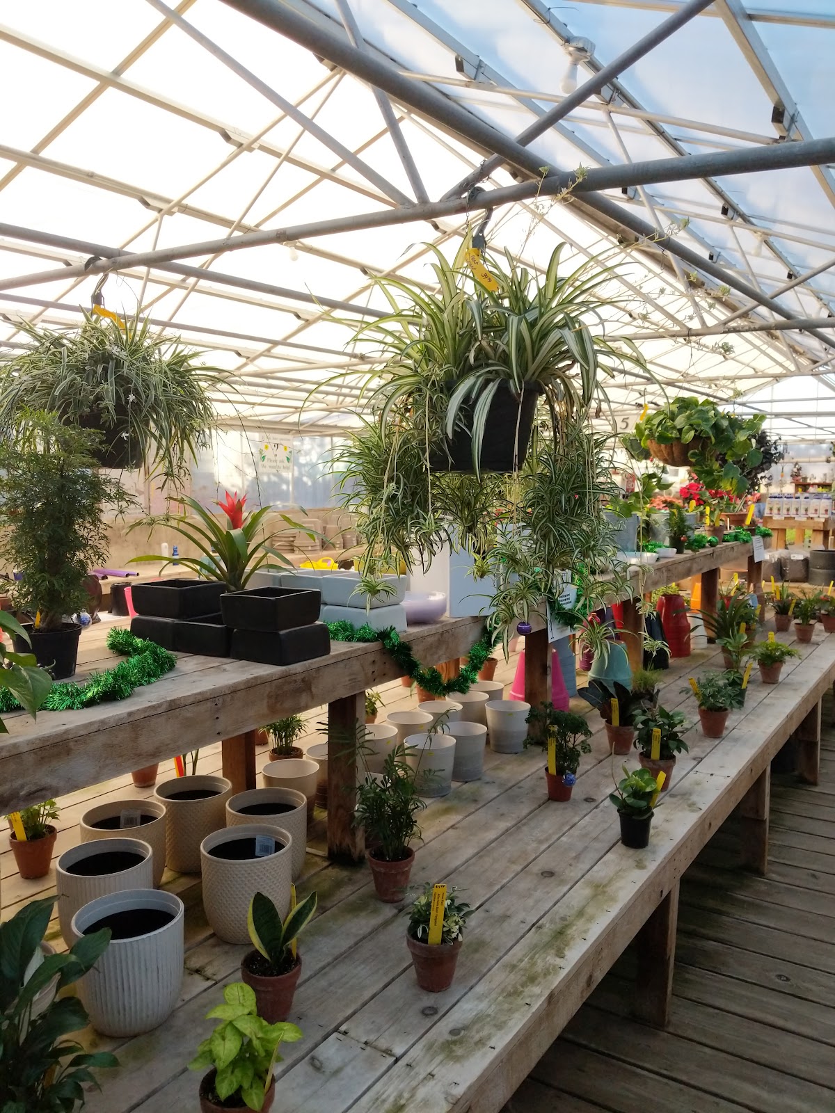 Plantorium Greenhouse/Nursery