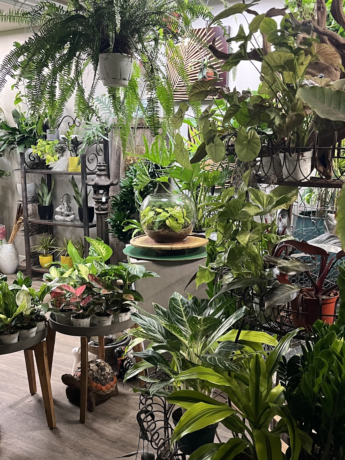 Plantplay Gardens