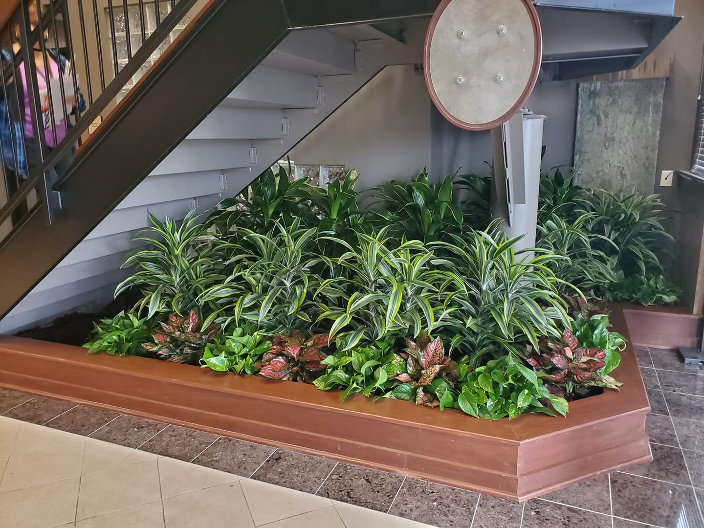Plants Alive Tennessee