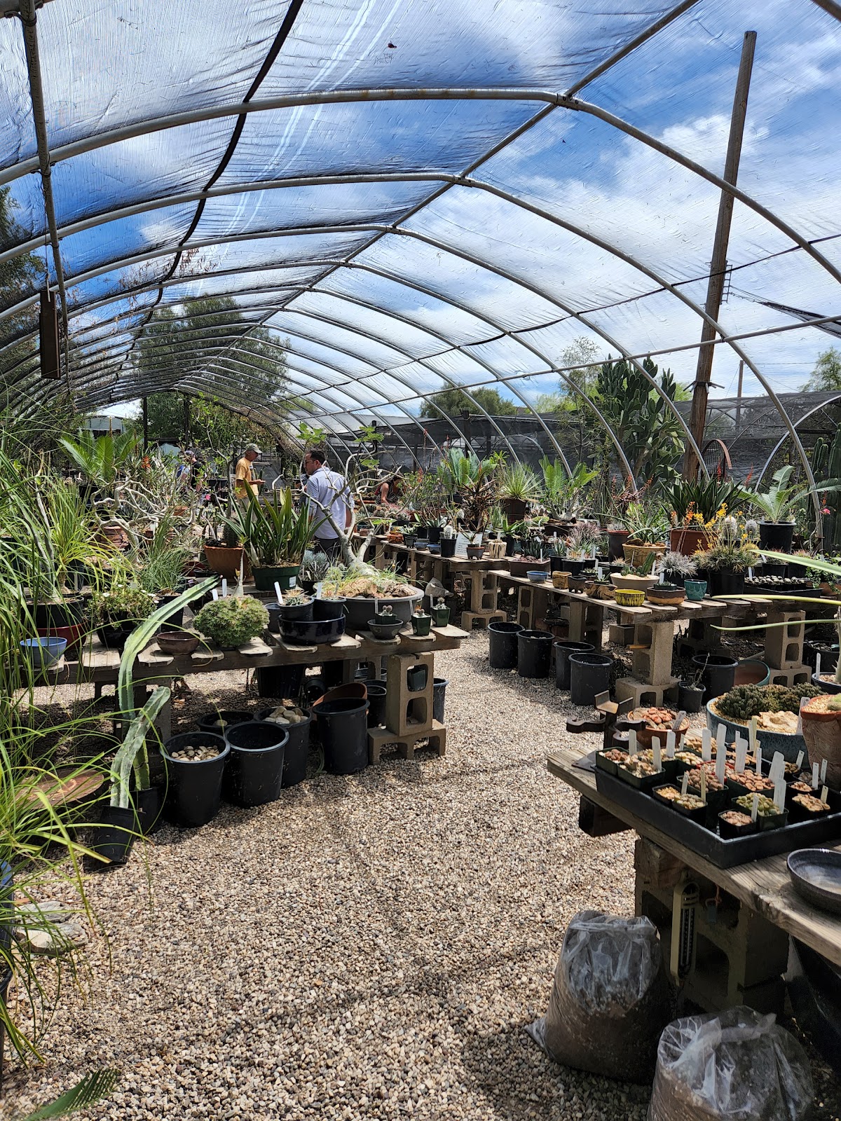 Plants for the Southwest