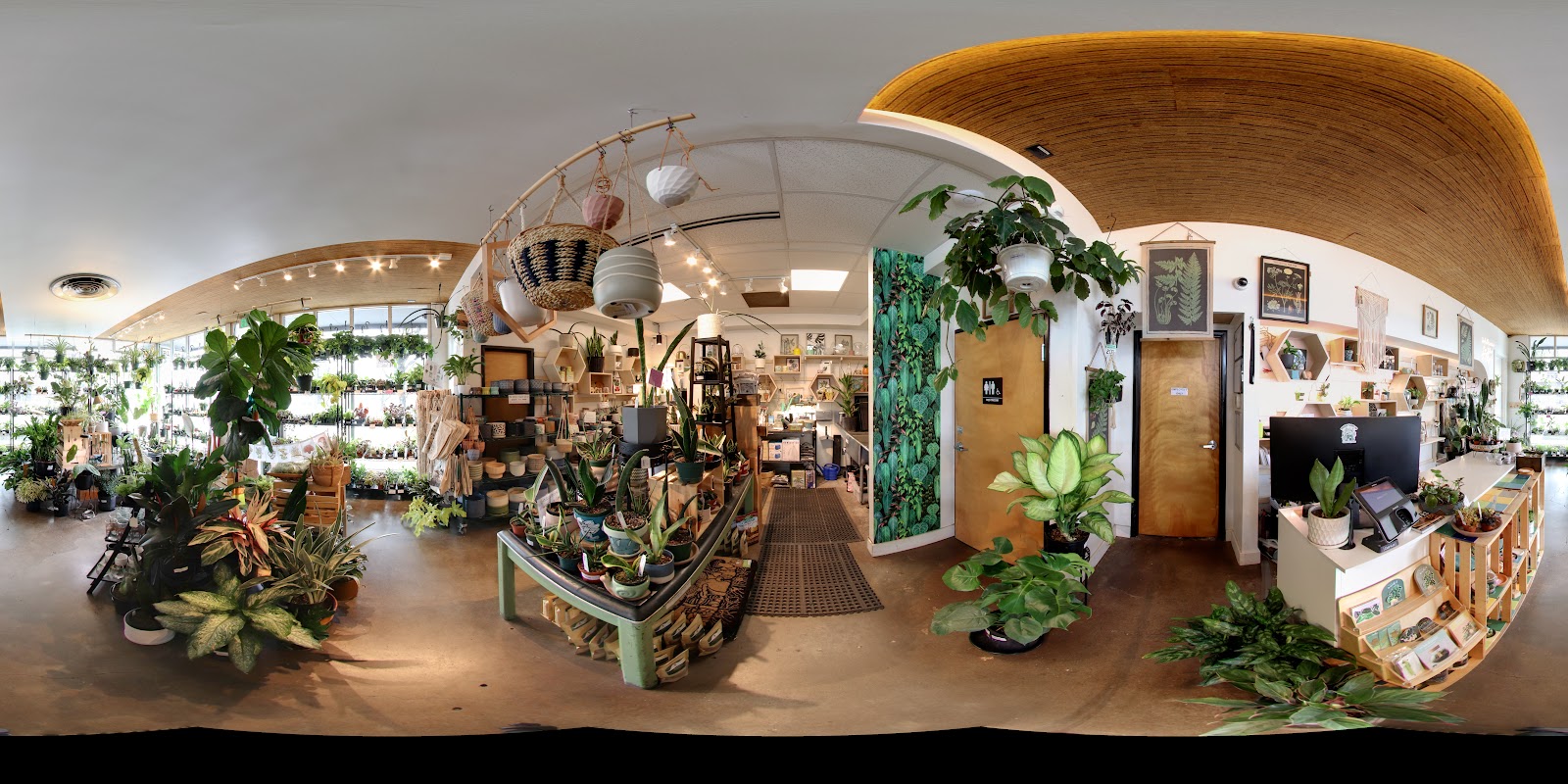 Plants on Broadway