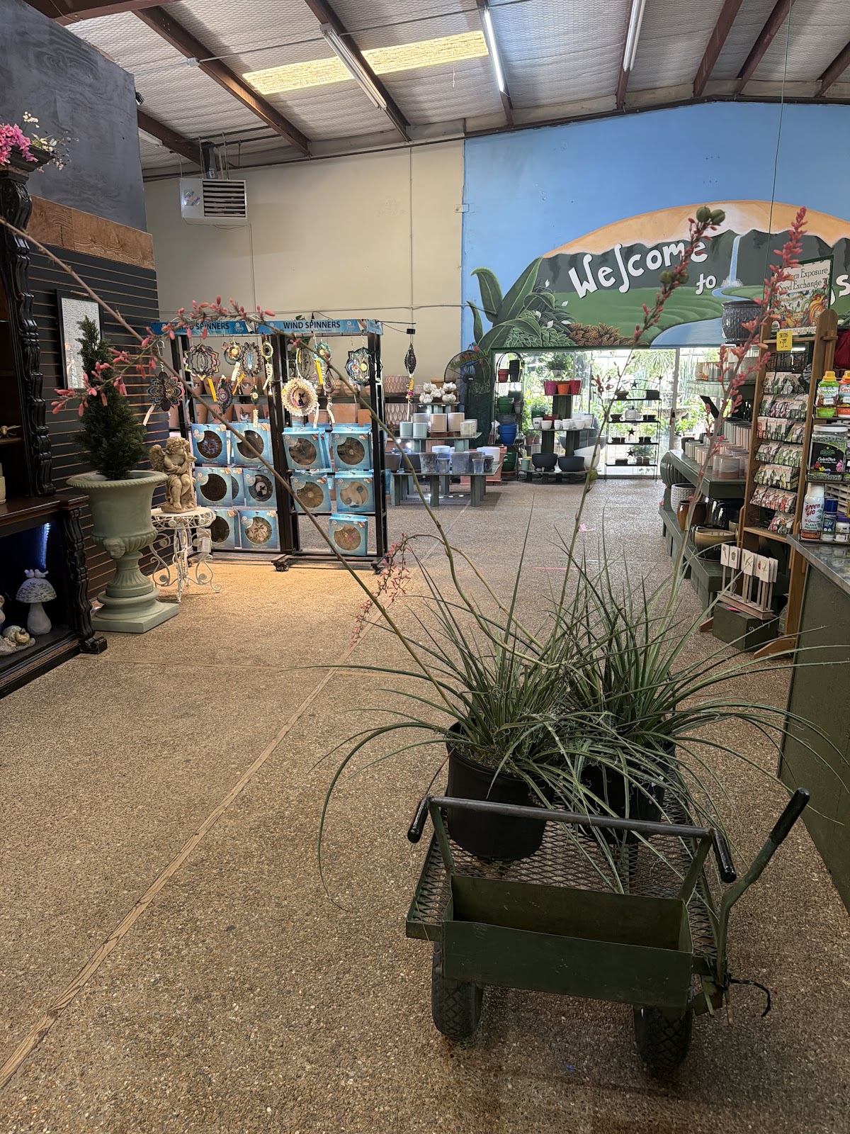 Plants & Planters by Secret Gardens