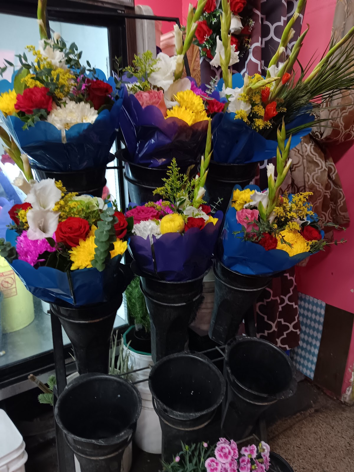 PLANTTAS Plant Shop