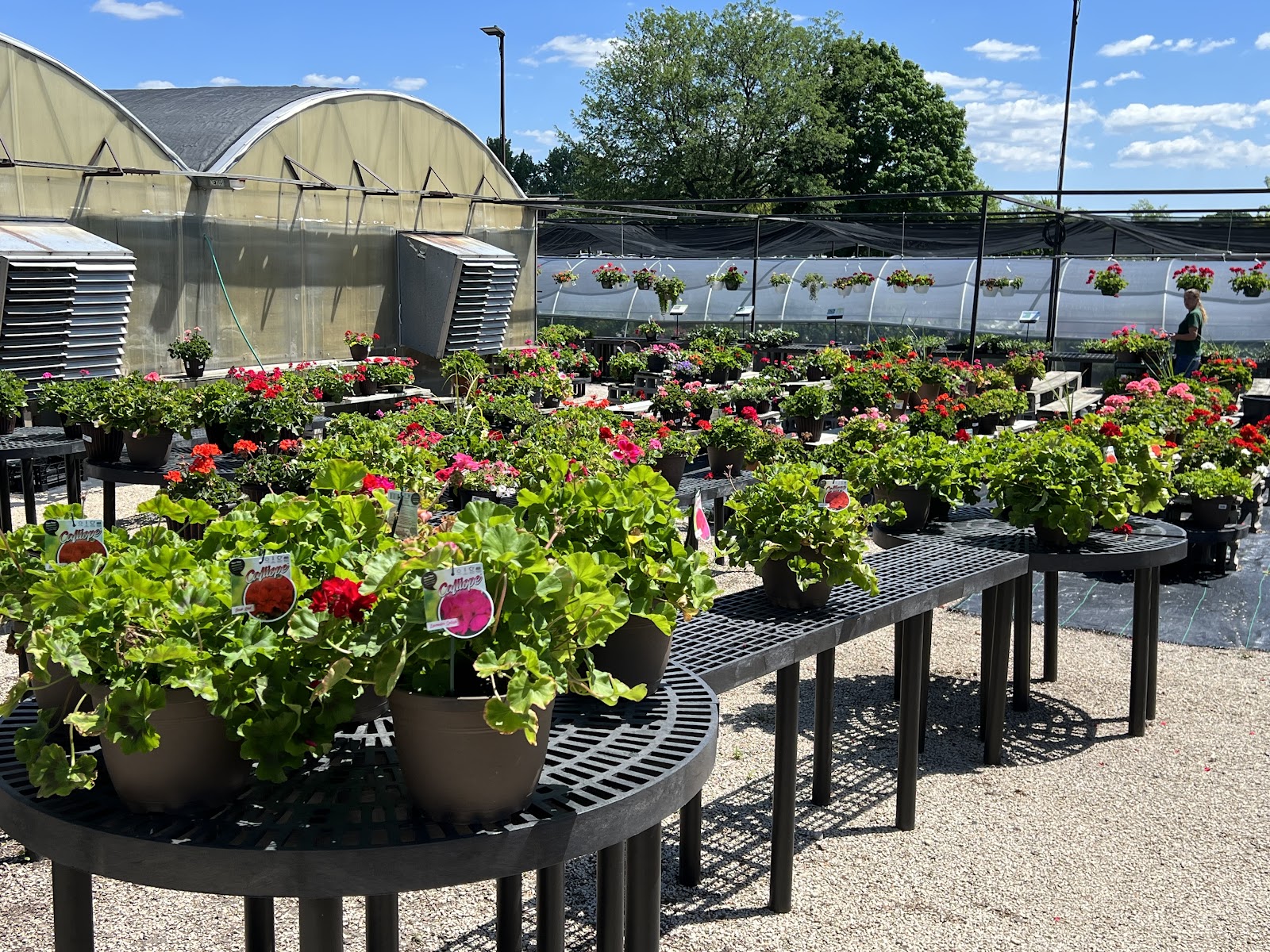 Platt Hill Nursery
