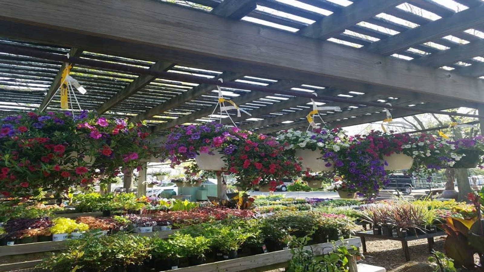 Pleasant Nursery Inc