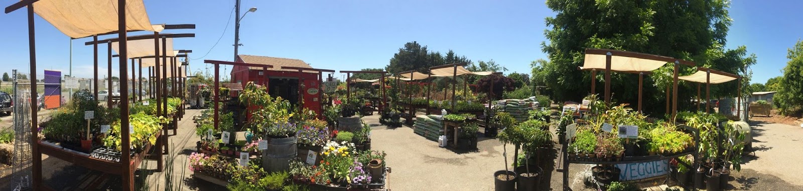 Ploughshares Nursery