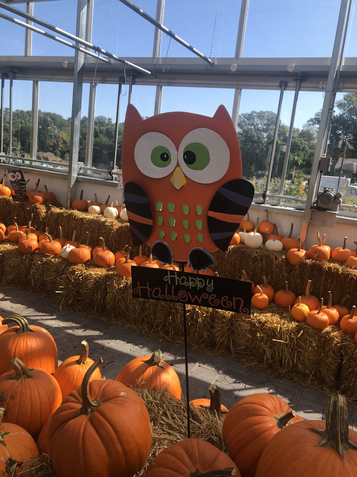 Polillio's Garden Center